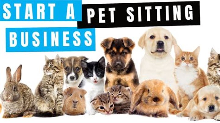 Are pet sitting businesses profitable?
