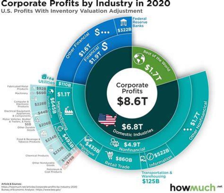 Are the distribution of profits to corporate owners?