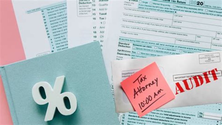 Are you more likely to get audited if you file your own taxes?