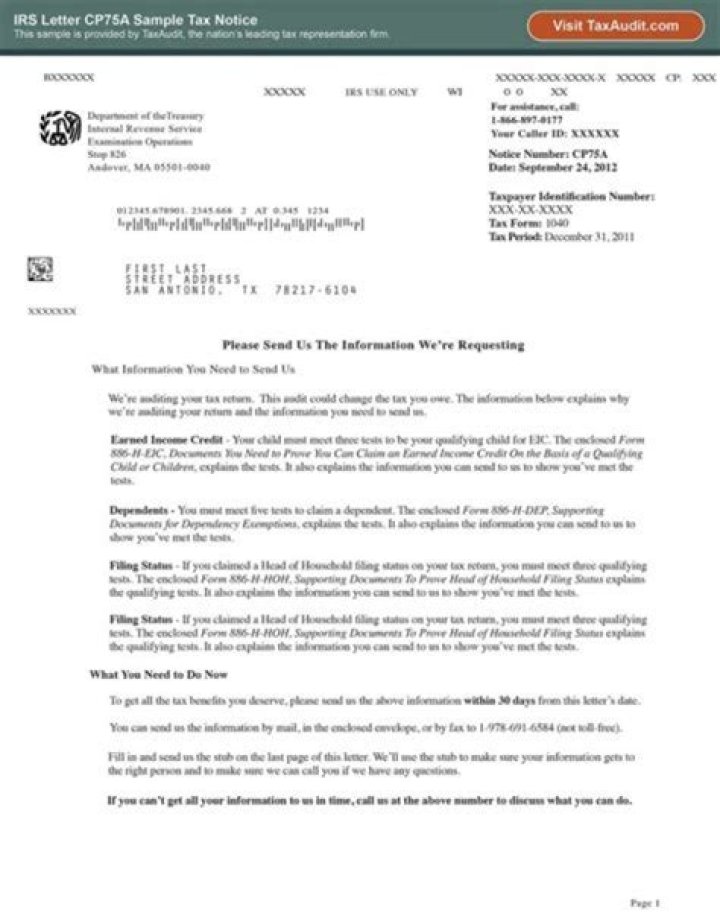 Can the IRS audit a state?