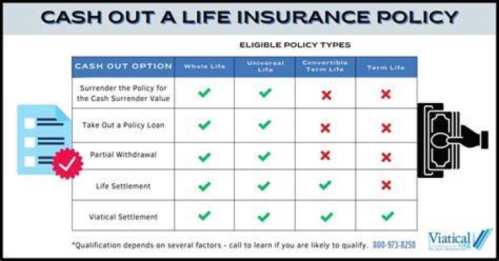 Can you cash out your own life insurance policy?