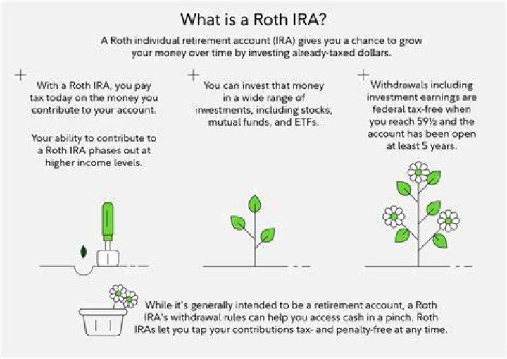 Does Janus have Roth IRA?