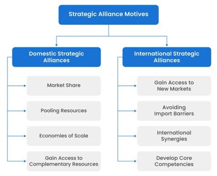 How can Internet technologies help a business form strategic alliances with its customers suppliers and others give relevant scenario to support your answer?
