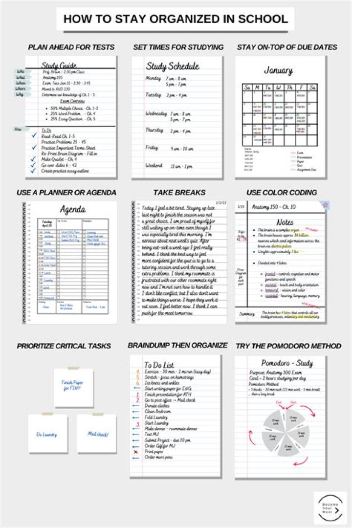 How do graduate students stay organized?