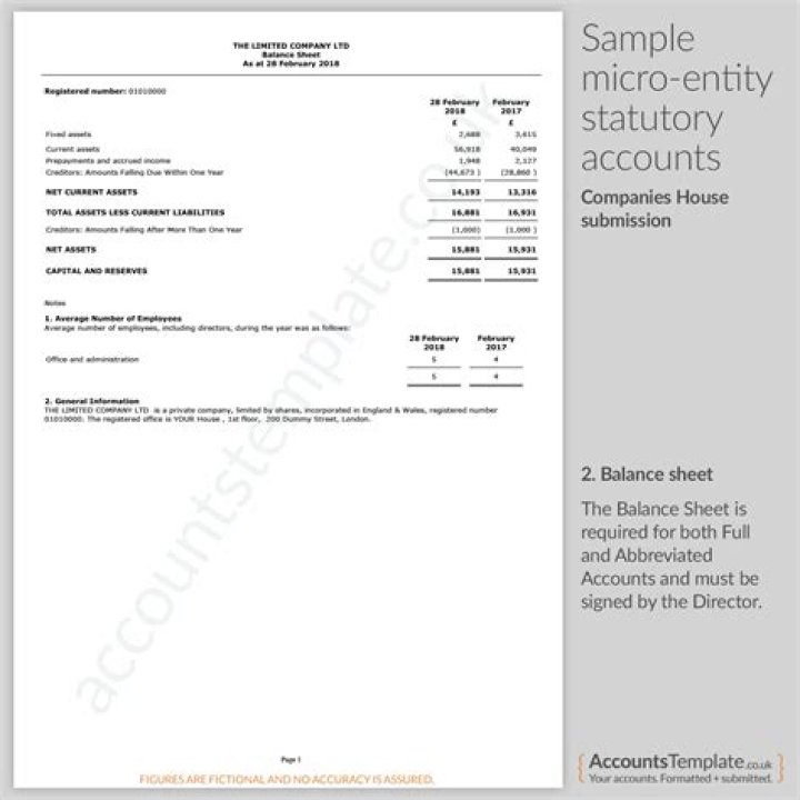 How do you file a micro entity balance sheet?