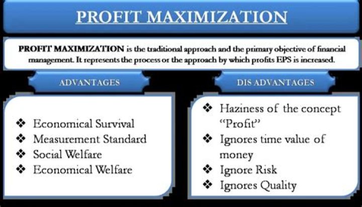 How does the goal of profit maximization affect ethical considerations?