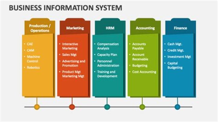 How is information systems used in business?
