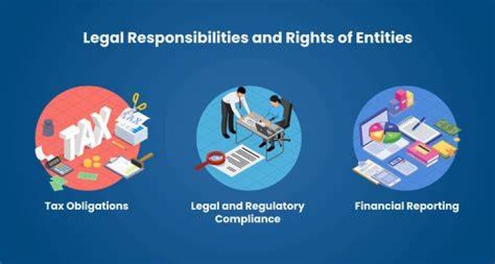 Is a trust an entity for tax purposes?