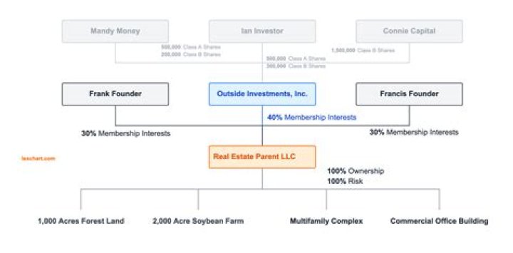 Is an LLC owned by shareholders?
