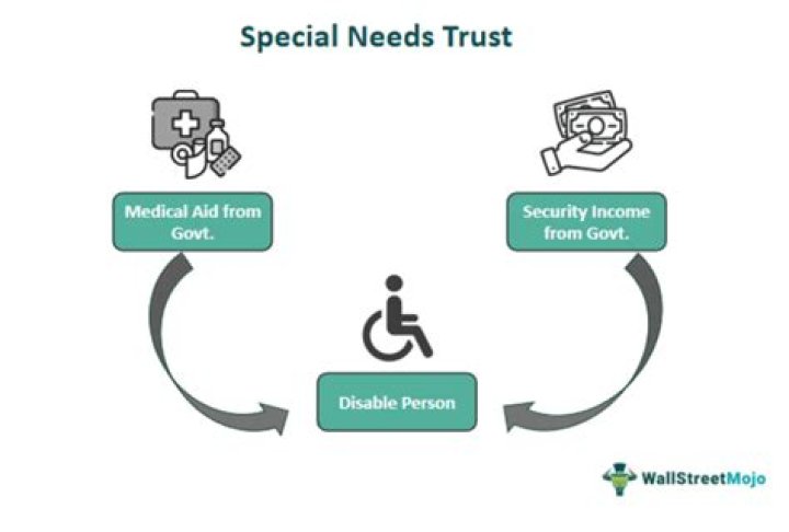 Is income from a special needs trust taxable?