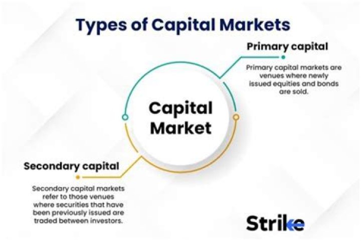 What are examples of capital markets?