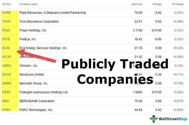 What are examples of publicly owned companies?