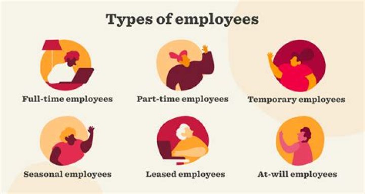 What are the 2 types of employment?