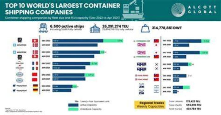 What are the main shipping companies?