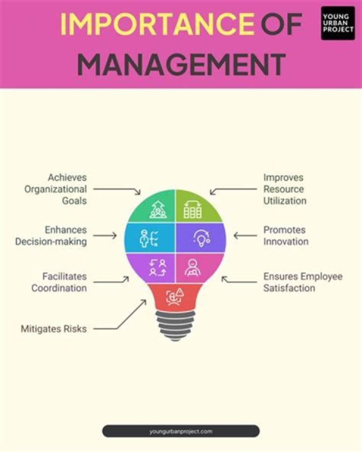 What are the objectives and importance of management?