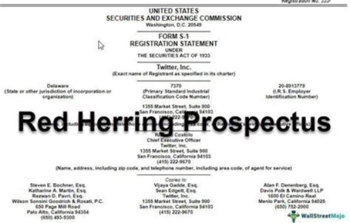 What does a red herring signify on the prospectus for an initial public offering?