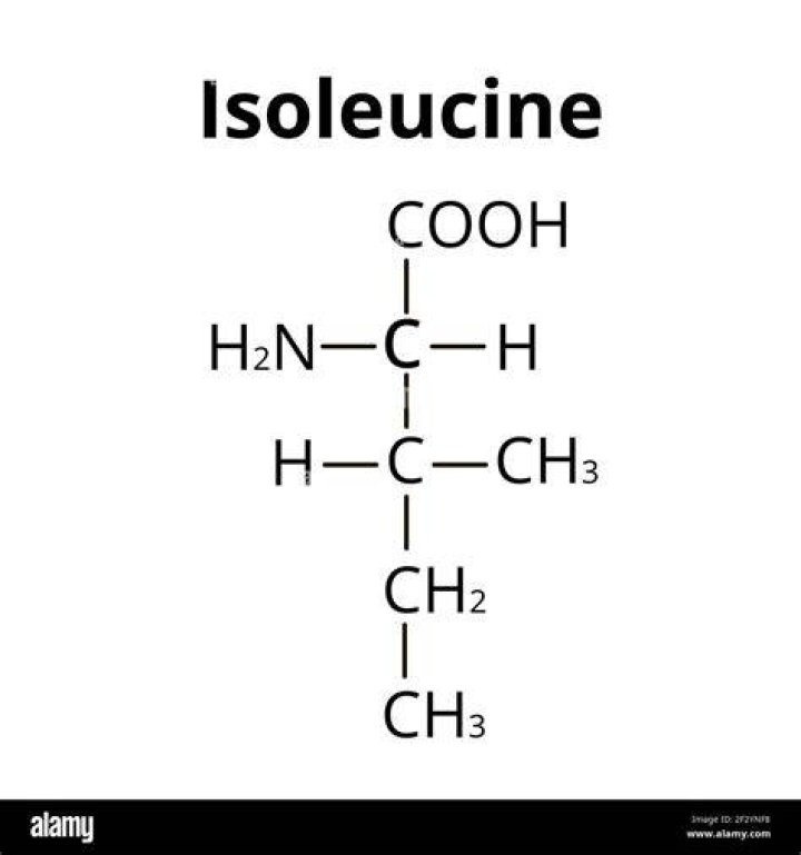 What does isoleucine stand for?