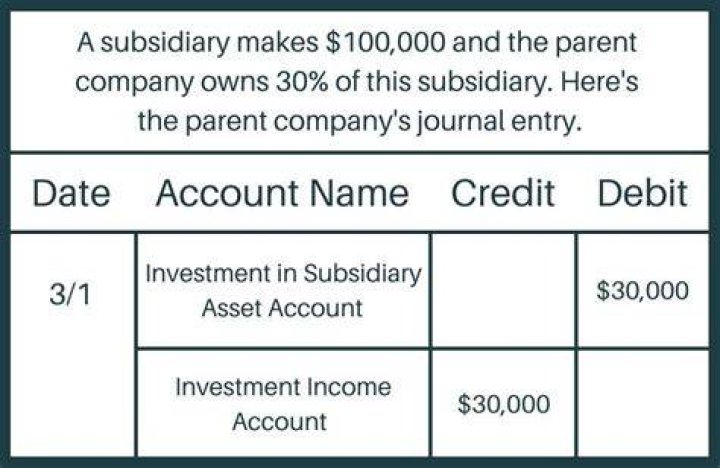 What is a 100% subsidiary?