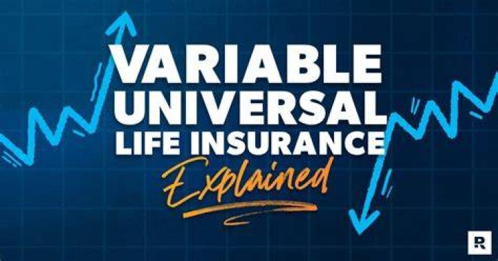 What is a universal variable life insurance policy?