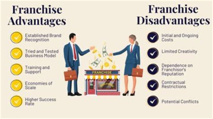 What is franchising and its example?