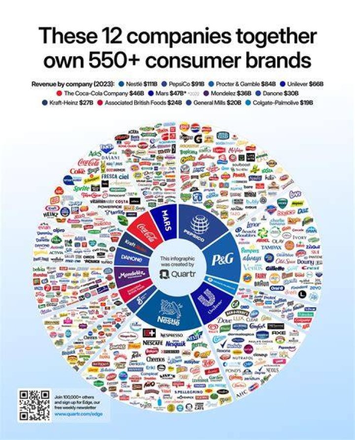 What is it called when a business controls all other companies of the same type?