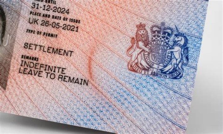 What is limited leave to remain in the UK?