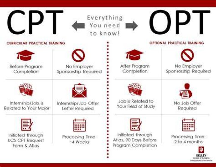 What is my status on OPT?