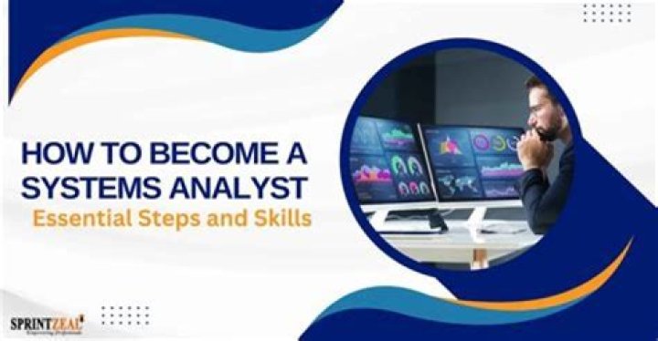 What is the future of system analyst?
