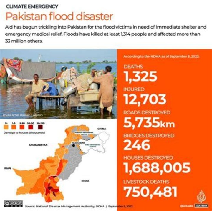 What was the impact of 2010 floods on Pakistan?