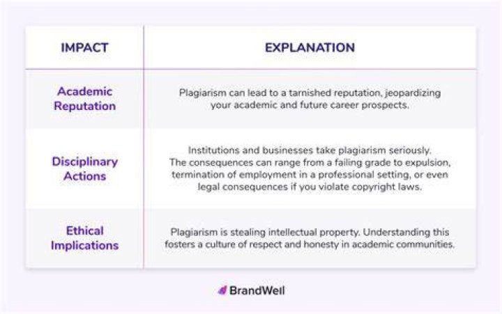 Why is plagiarism a serious issue?
