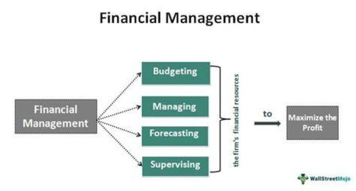 Why the role of financial manager is important?